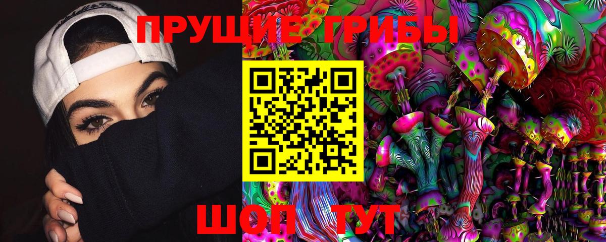Новосибирск  Псилоцибиновые грибы прущие грибы  Вход с VPN 