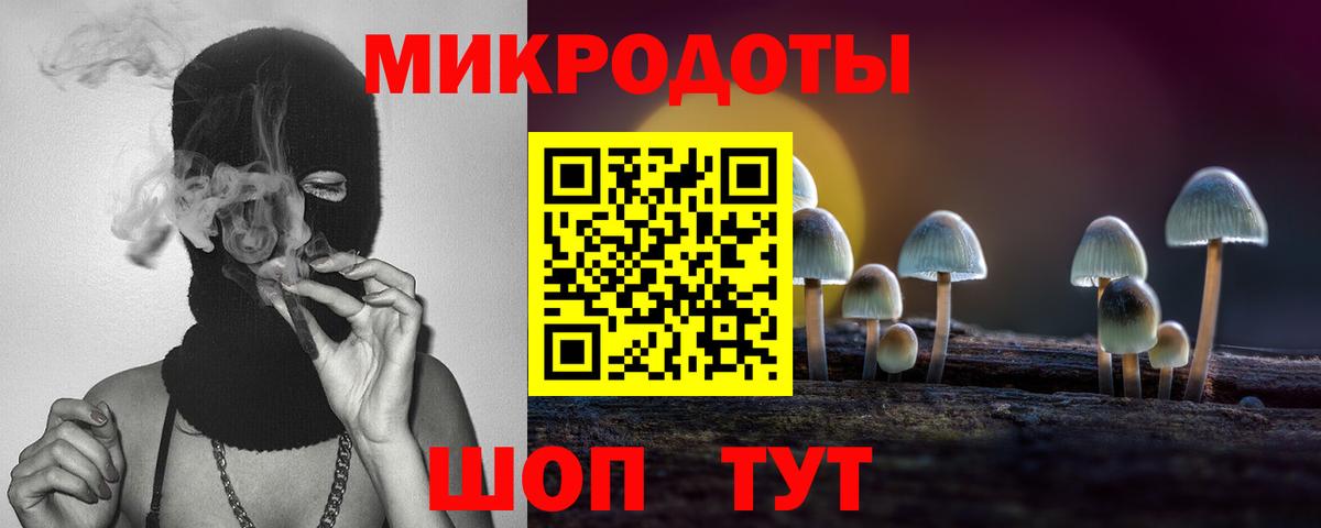 Псилоцибиновые грибы GOLDEN TEACHER Новосибирск